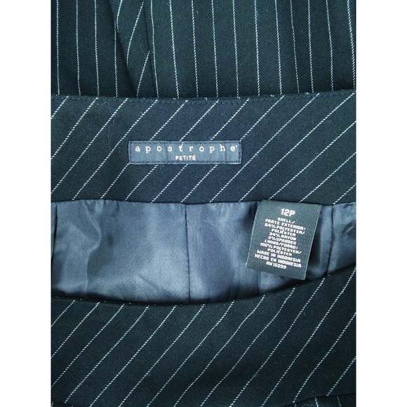 Apostrophe Skirt SZ 12 Petite Pinstripe Pleated - Picture 6 of 8